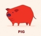 Feng Shui 2024 Forecast for Boar