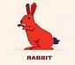 Feng Shui 2024 Forecast for Rabbit