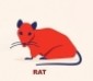 Feng Shui 2024 Forecast for Rat