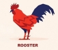 Feng Shui 2024 Forecast for Rooster