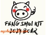Feng Shui Kit 2024 for Boar (V2)