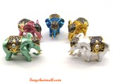 Lucky Elephant